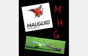 Magnet au logo du club